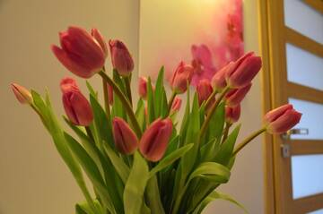 Фото номера Апартаменты с 1 спальней Апартаменты Apartament Orchidea г. Варшава 42