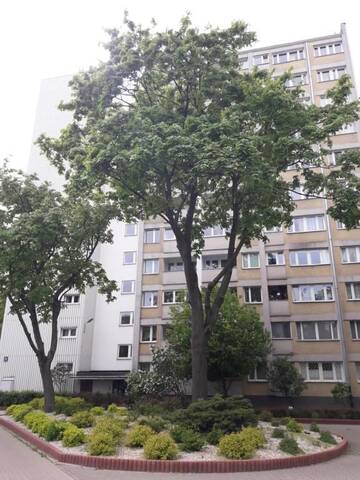 Фото номера Апартаменты с 1 спальней Апартаменты Apartament Orchidea г. Варшава 56