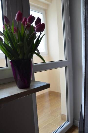 Фото номера Апартаменты с 1 спальней Апартаменты Apartament Orchidea г. Варшава 27