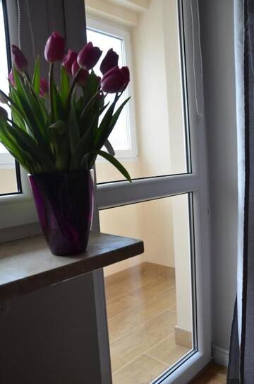 Фото номера Апартаменты с 1 спальней Апартаменты Apartament Orchidea г. Варшава 39