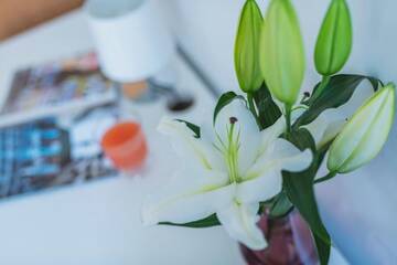 Фото номера Апартаменты Апартаменты Hala Mirowska Apartments г. Варшава 44
