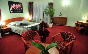 Фото номера Двухместный номер Делюкс с 1 кроватью Отель Hotel Złote Dęby г. Варшава 4