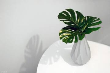 Фото номера Двухместный номер с 1 кроватью и общей ванной комнатой Хостелы ClickTheFlat Hoża Street Apart Rooms г. Варшава 12