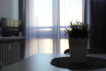 Фото номера Апартаменты с 1 спальней — Grzybowska, 16 Апартаменты Coser Apartamenty Centrum г. Варшава 3