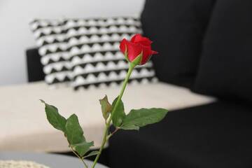 Фото номера Стандартные апартаменты Апартаменты oompH Warsaw Nowy Swiat Apartment г. Варшава 56
