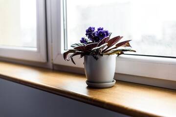 Фото номера Апартаменты Апартаменты Magnetic apartment Jerozolimskie B г. Варшава 22
