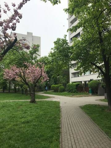 Фото номера Апартаменты-студио Апартаменты Apartament MetroMarymont г. Варшава 13