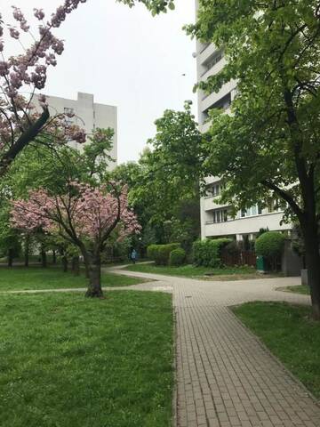Фото номера Апартаменты-студио Апартаменты Apartament MetroMarymont г. Варшава 26