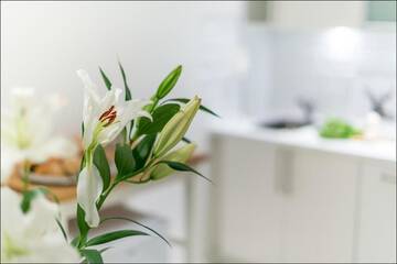 Фото номера Апартаменты-студио Апартаменты P&amp;O Apartments Bagatela г. Варшава 32