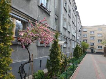 Фото номера Апартаменты-студио Апартаменты Muranów Studio г. Варшава 26