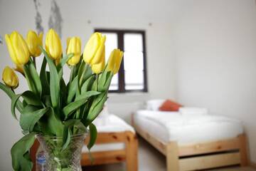 Фото номера Апартаменты с 2 спальнями Апартаменты Magnetic apartment Mehoffera г. Варшава 74