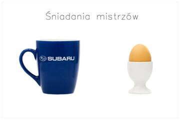 Фото номера Одноместный номер Мотели Motel Subaru г. Варшава 8