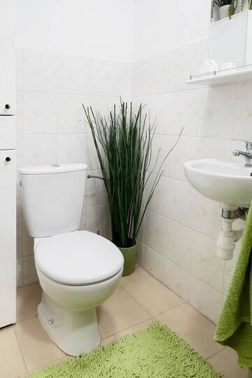Фото номера Апартаменты с террасой Апартаменты Lovely Garden Flat near Royal Park г. Варшава 16
